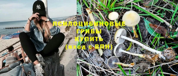 прущий лед Армянск