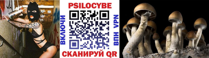 Псилоцибиновые грибы мицелий Камбарка