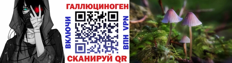 где купить наркотик  Камбарка  Псилоцибиновые грибы ЛСД 